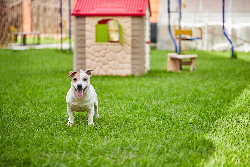 Custom Dog House