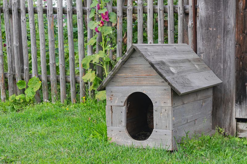 Custom Dog House