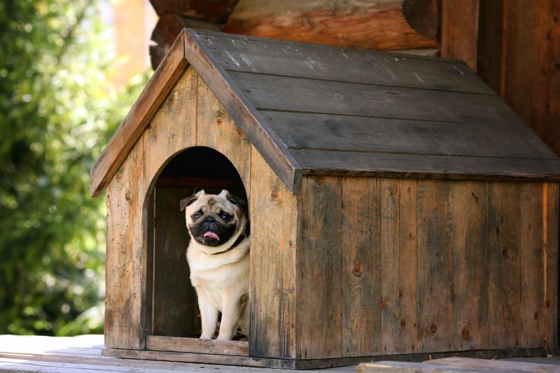 Custom Dog House